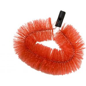 Staubbiene Ovale Form